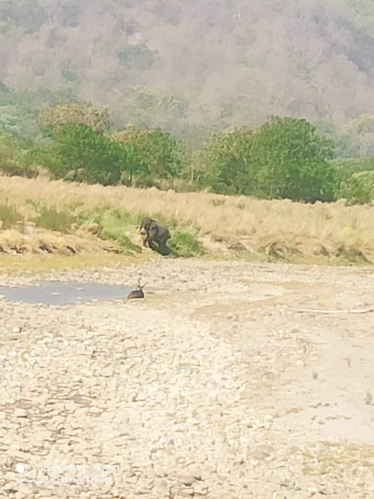 jim corbett safari booking online