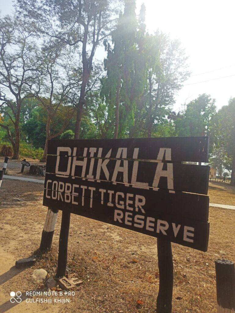 Wildlife sighting on a Dhikala Zone safari in Jim Corbett National Park