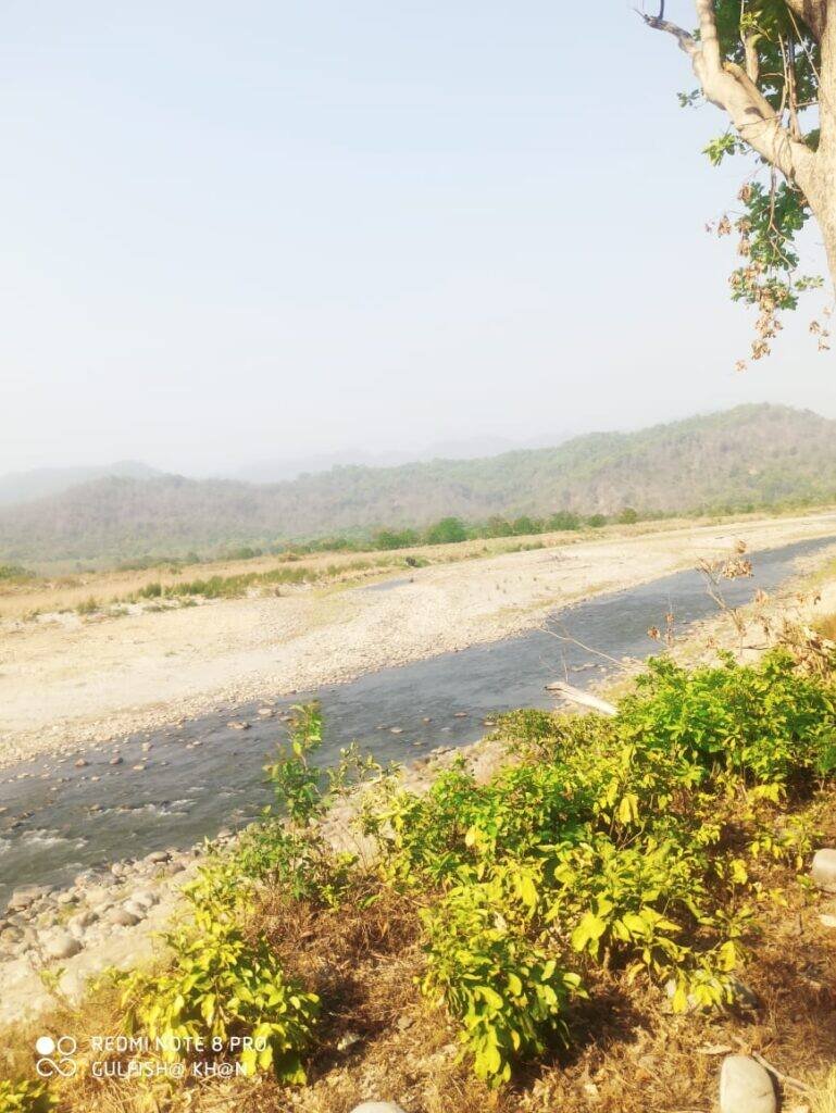 Jeep safari through the Dhikala Zone, Jim Corbett National Park