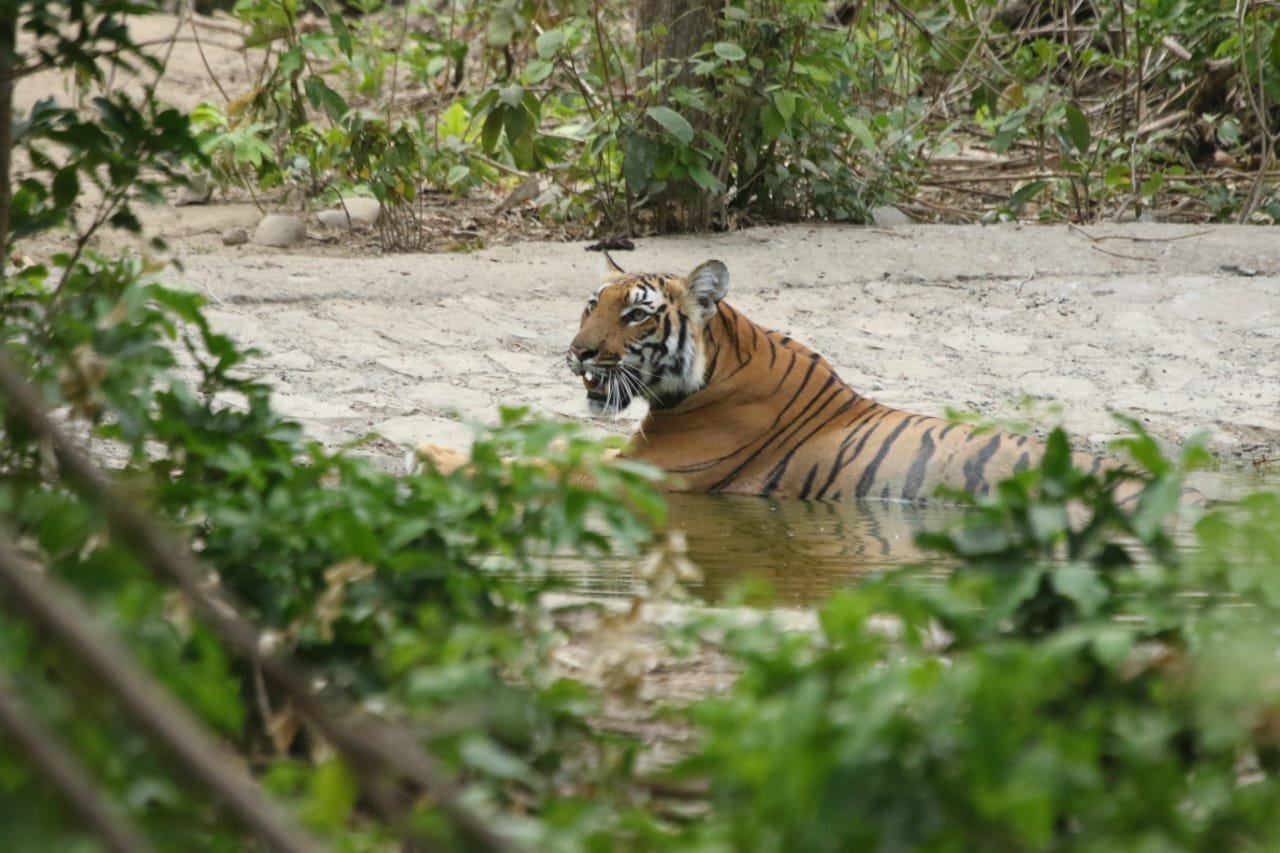 WhatsApp Image 2025-07-20 at 14.57.40 (1)