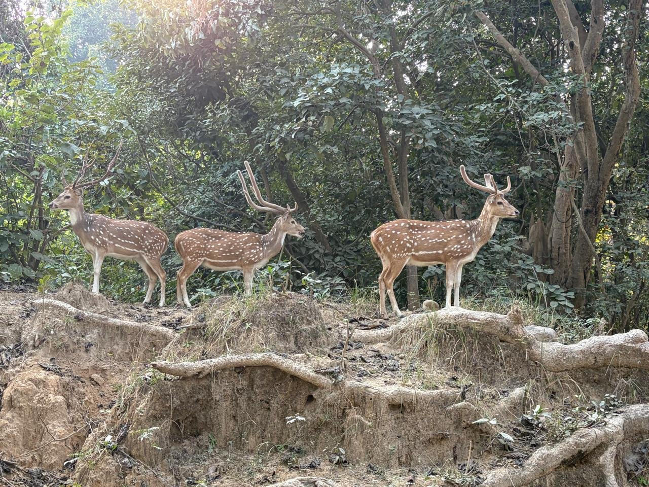 WhatsApp Image 2025-12-26 at 6.07.03 PM