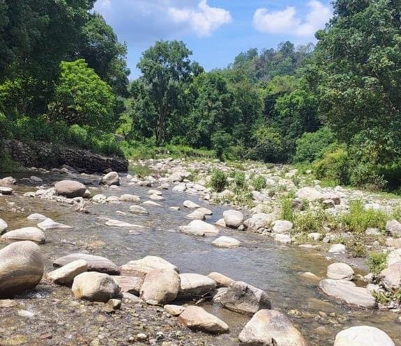 WhatsApp Image 2025-12-26 at 6.09.00 PM