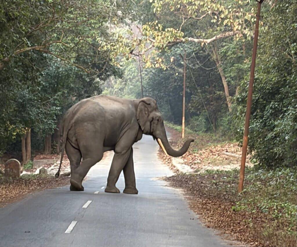 baghtravels