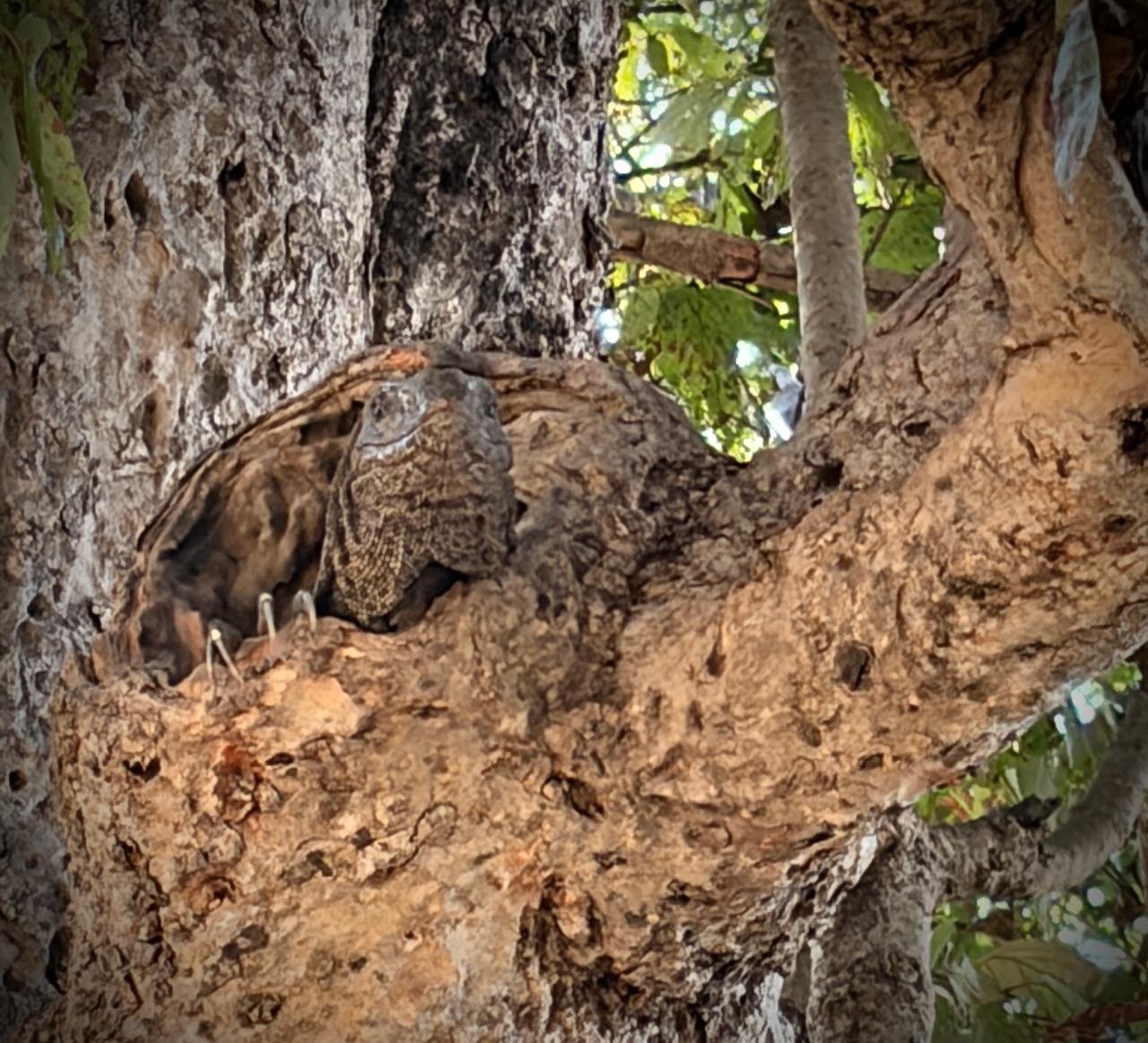 WhatsApp Image 2025-12-26 at 6.10.15 PM