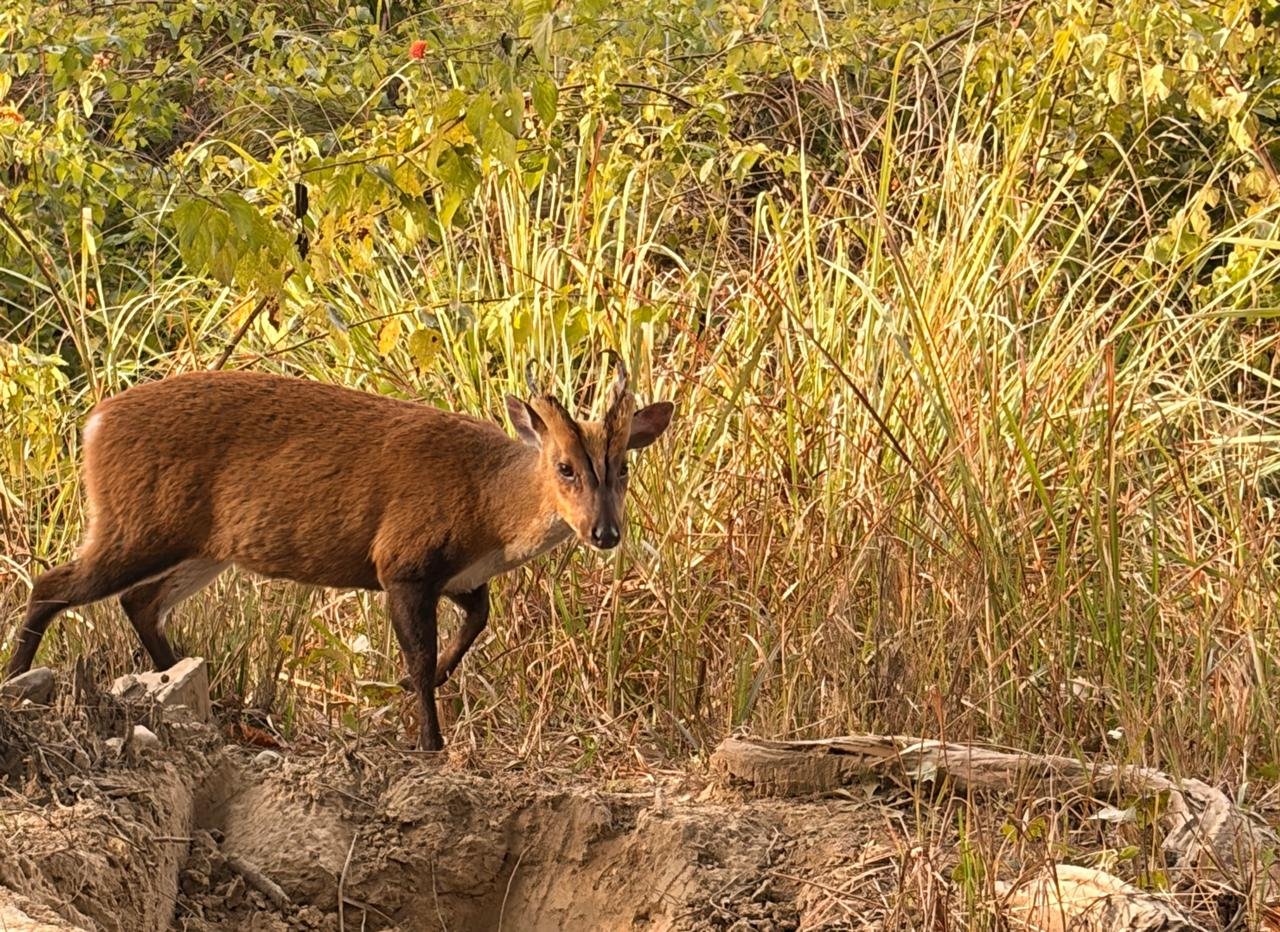 WhatsApp Image 2025-12-26 at 6.10.50 PM