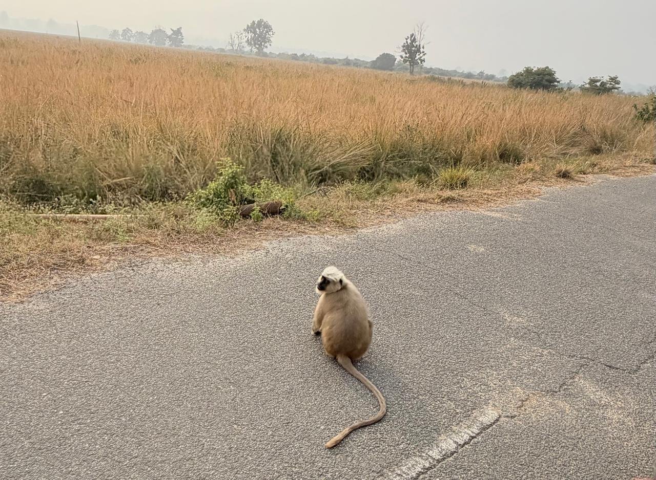 WhatsApp Image 2025-12-26 at 6.13.43 PM