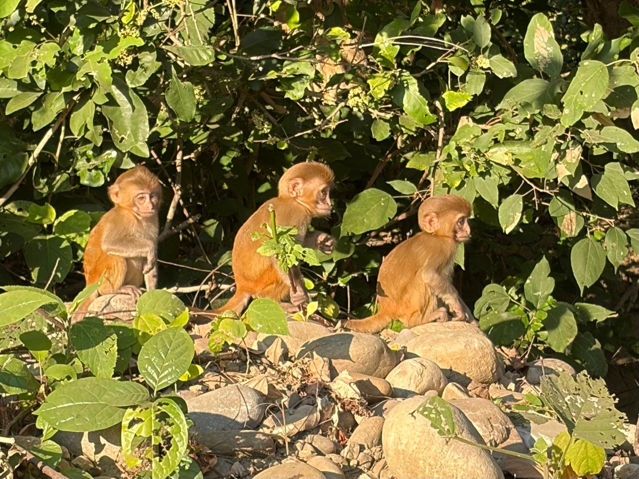 WhatsApp Image 2025-12-26 at 6.15.02 PM