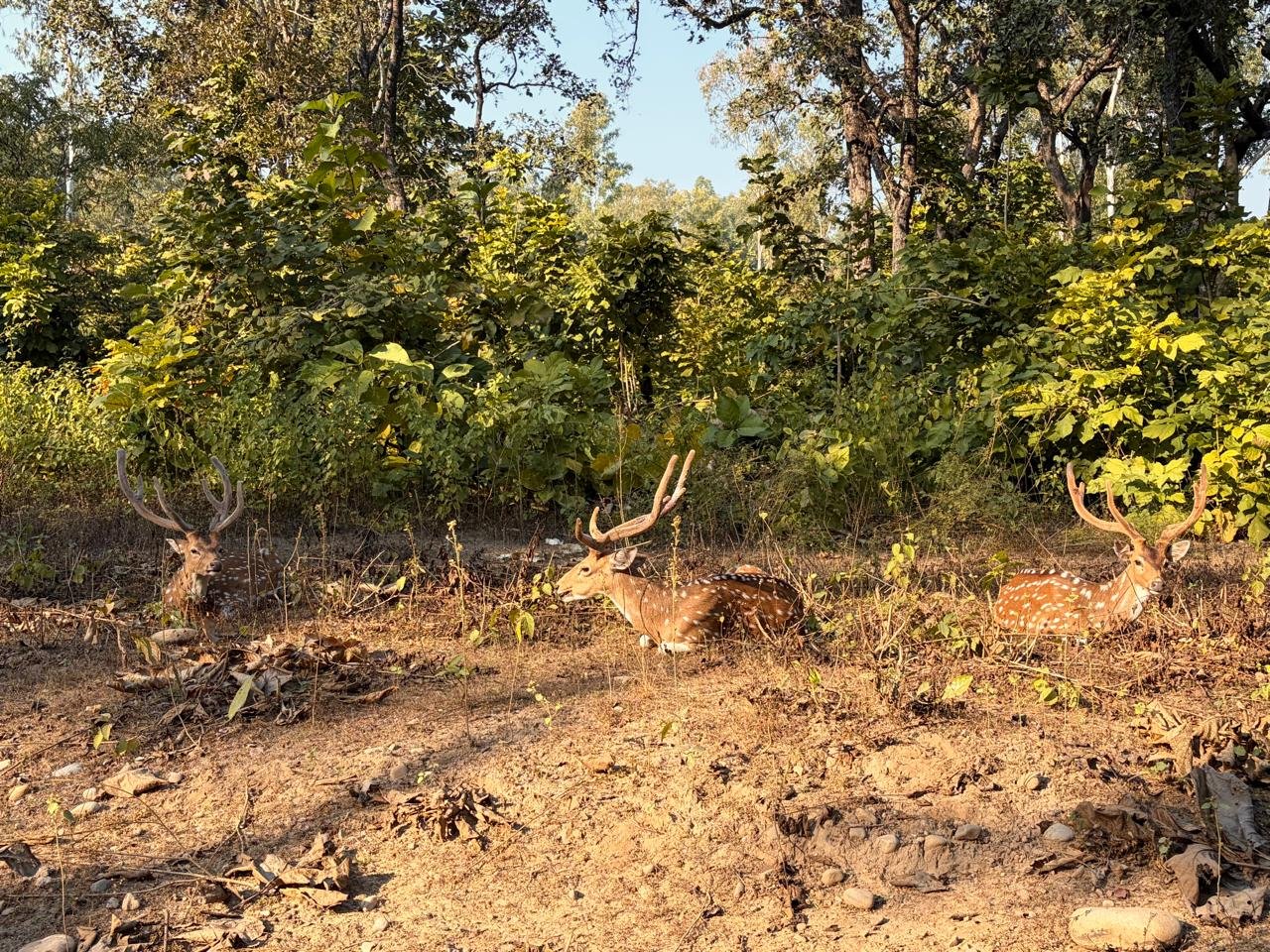 WhatsApp Image 2025-12-26 at 6.16.38 PM