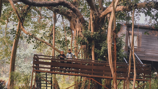 Tree House Rest House in Phanto Zone