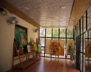 museum