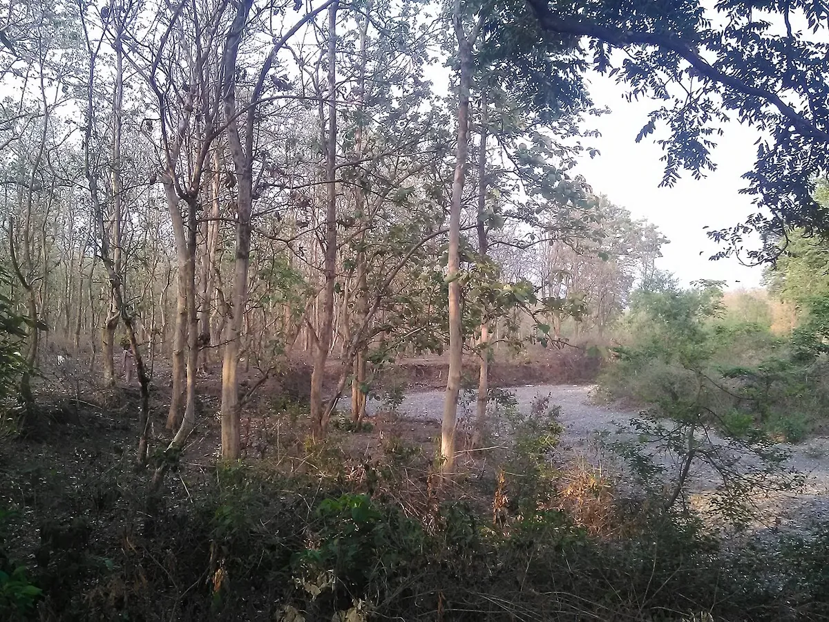 Kaladhungi village and forest near Jim Corbett
