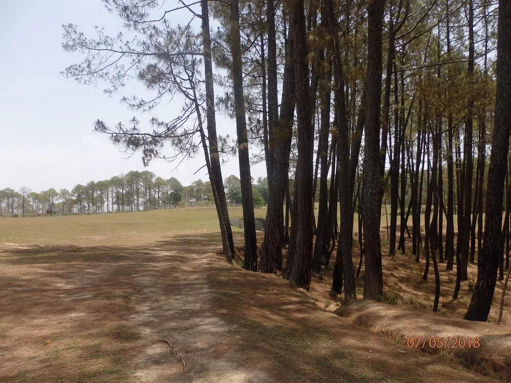 Himalayan meadows at Ranikhet, Uttarakhand