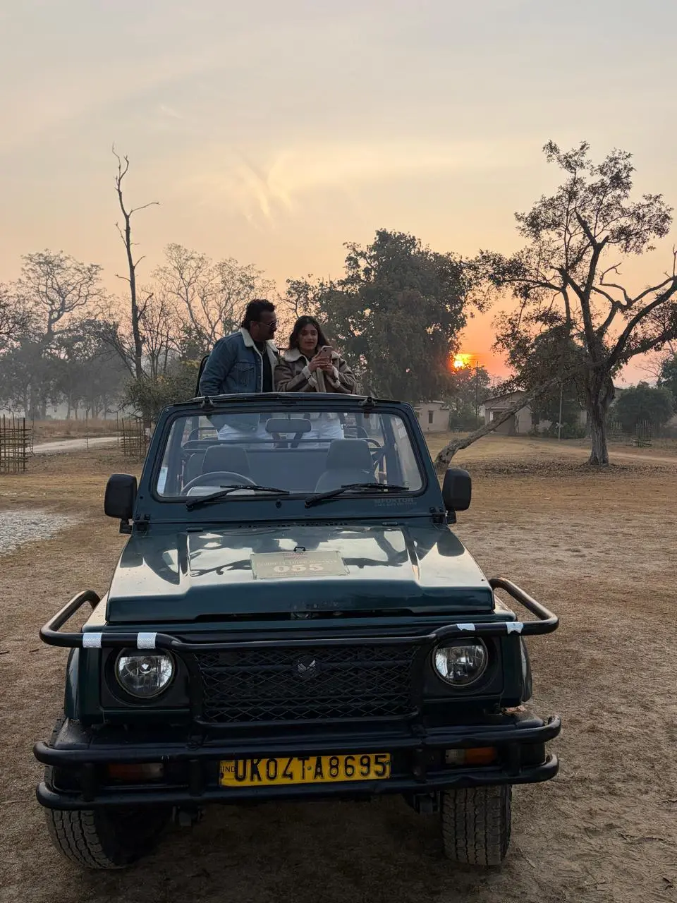 safari