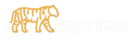 bagh-logo-removebg-preview