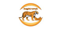 Bagh Travels logo